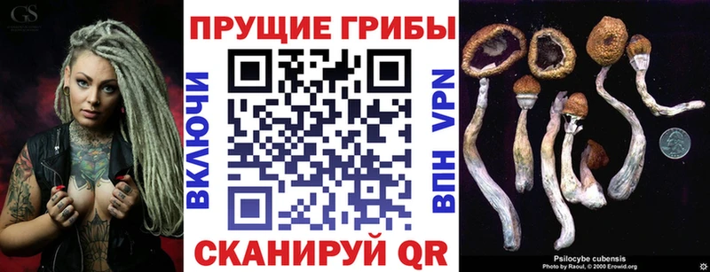 Псилоцибиновые грибы мухоморы  МЕГА зеркало  Стародуб  купить наркотик 